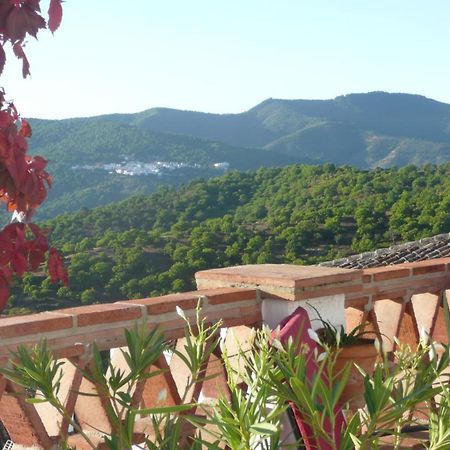 Hotel Los Castanos (Adults Only) Cartajima Екстериор снимка