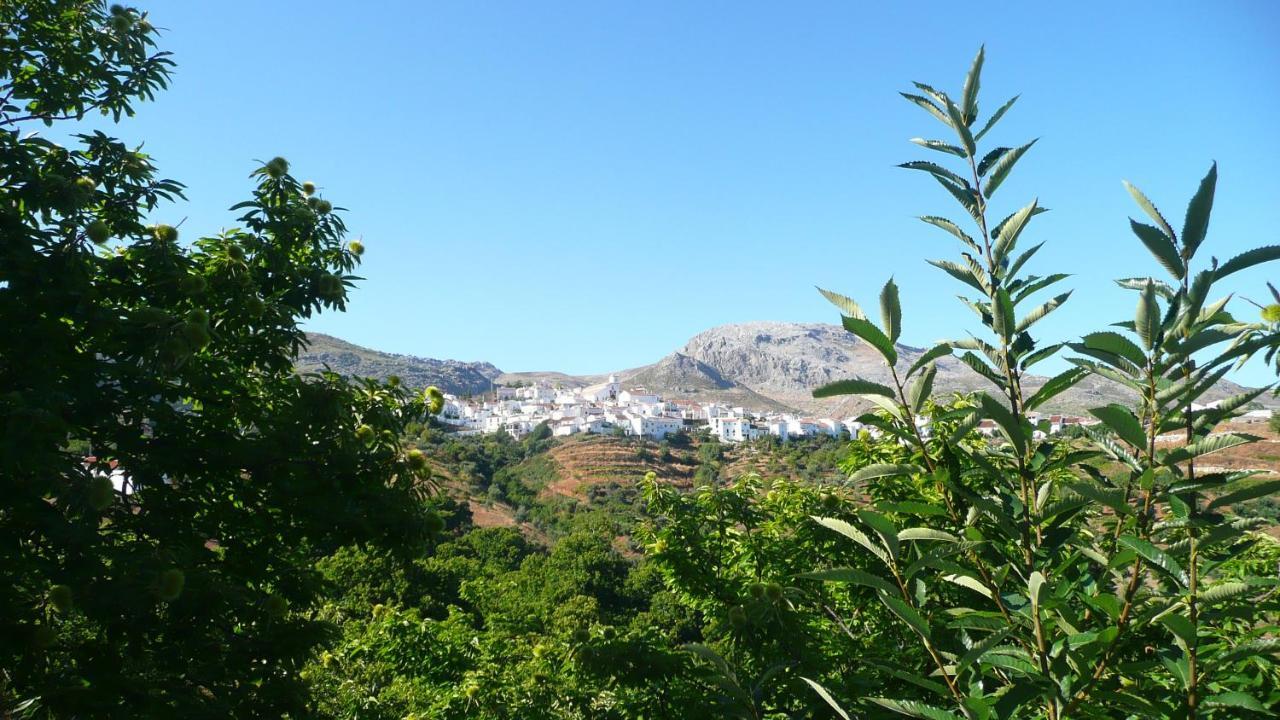 Hotel Los Castanos (Adults Only) Cartajima Екстериор снимка